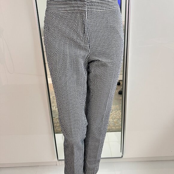 Ann Taylor Devin Ankle Pant in Seersucker Stretch Blue SZ 6 - Picture 4 of 13